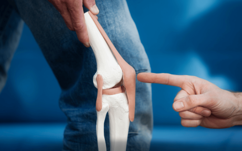 knee replacement surgery in Indore